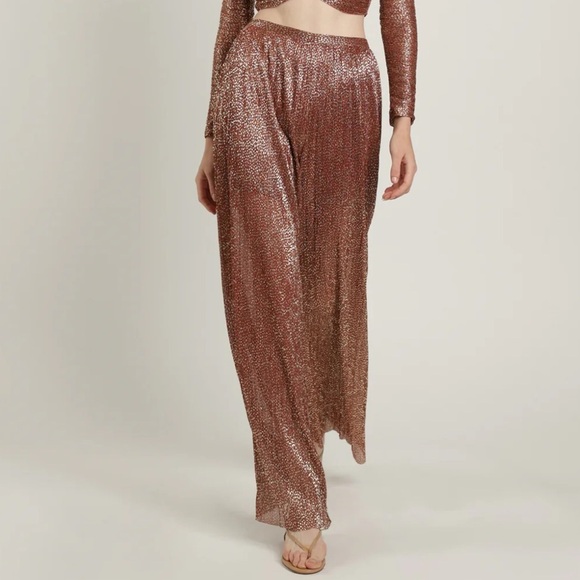 Sabina Musayev Shane Pants in Rust - Picture 2 of 10